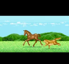 Image n° 1 - screenshots  : Winning Post